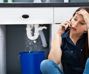 About Plumbers Pros Waggoner, IL